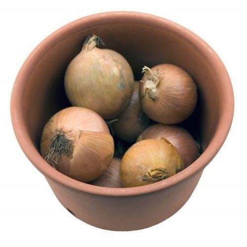 Naczynie do przechowywania cebuli